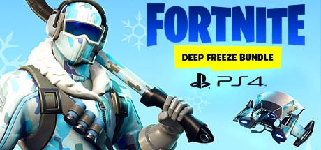 Buy Fortnite Deep Freeze Bundle PS4 US for PlayStation