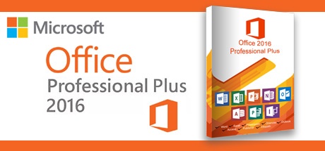 Buy Microsoft Office 2016 Professional Plus for Software Software