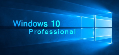 Buy Windows 10 Professional OEM for Software Software