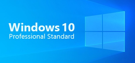 Buy Windows 10 Professional Standard for Software Software